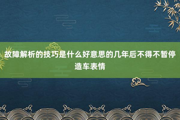 故障解析的技巧是什么好意思的几年后不得不暂停造车表情