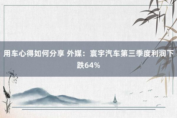 用车心得如何分享 外媒：寰宇汽车第三季度利润下跌64%