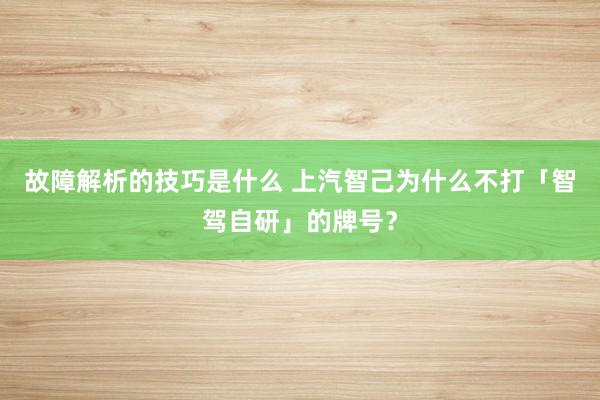 故障解析的技巧是什么 上汽智己为什么不打「智驾自研」的牌号？