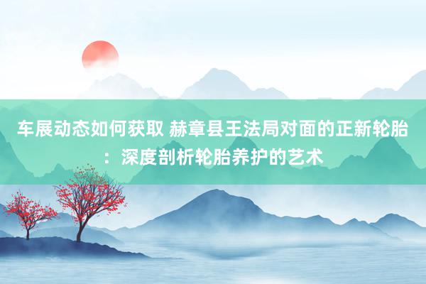 车展动态如何获取 赫章县王法局对面的正新轮胎：深度剖析轮胎养护的艺术