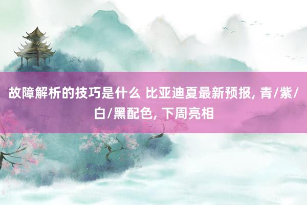 故障解析的技巧是什么 比亚迪夏最新预报, 青/紫/白/黑配色, 下周亮相