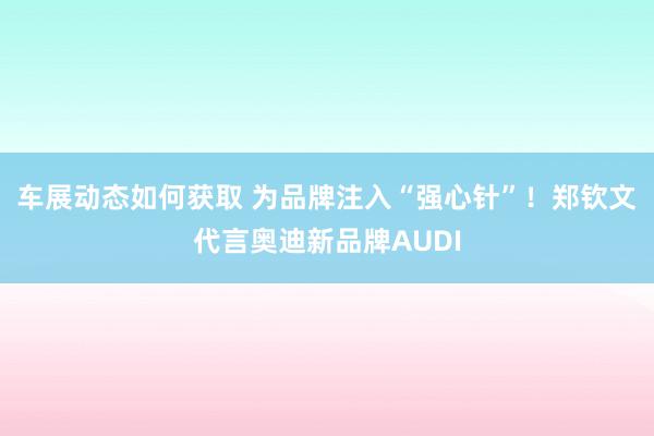 车展动态如何获取 为品牌注入“强心针”！郑钦文代言奥迪新品牌AUDI