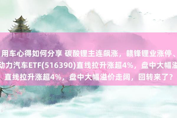 用车心得如何分享 碳酸锂主连飙涨，赣锋锂业涨停、宁德时间涨3%，新动力汽车ETF(516390)直线拉升涨超4%，盘中大幅溢价走阔，回转来了？