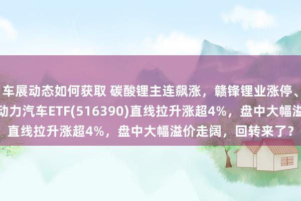 车展动态如何获取 碳酸锂主连飙涨，赣锋锂业涨停、宁德期间涨3%，新动力汽车ETF(516390)直线拉升涨超4%，盘中大幅溢价走阔，回转来了？