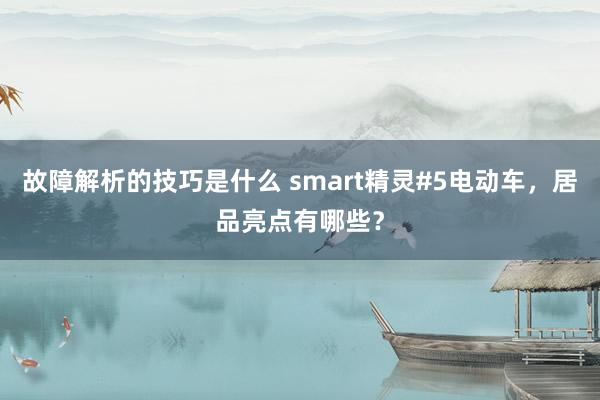 故障解析的技巧是什么 smart精灵#5电动车，居品亮点有哪些？