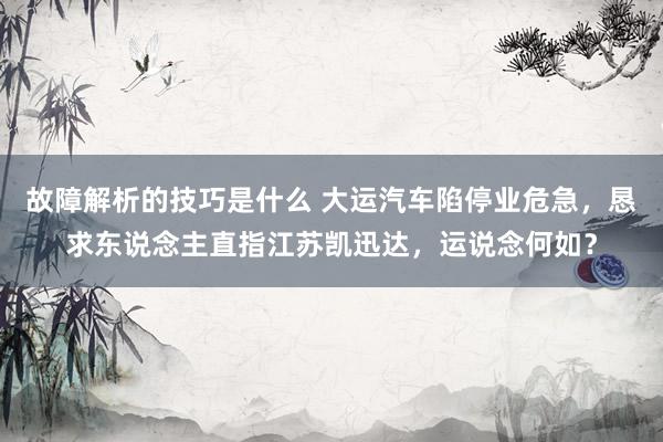 故障解析的技巧是什么 大运汽车陷停业危急，恳求东说念主直指江苏凯迅达，运说念何如？