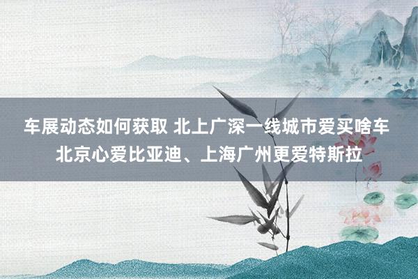 车展动态如何获取 北上广深一线城市爱买啥车 北京心爱比亚迪、上海广州更爱特斯拉