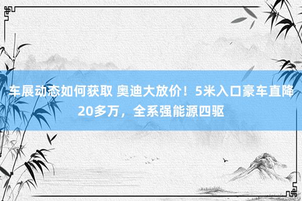 车展动态如何获取 奥迪大放价！5米入口豪车直降20多万，全系强能源四驱