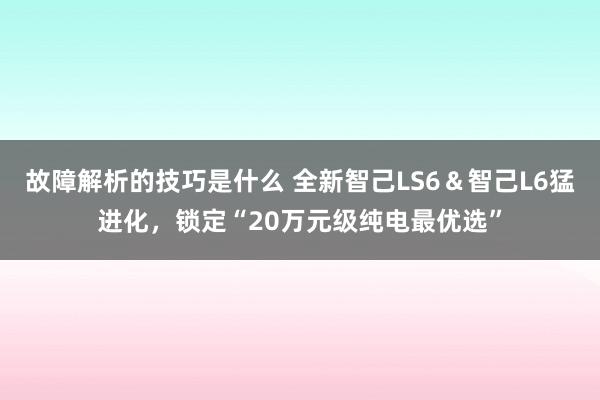 故障解析的技巧是什么 全新智己LS6＆智己L6猛进化，锁定“20万元级纯电最优选”