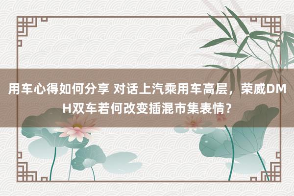 用车心得如何分享 对话上汽乘用车高层，荣威DMH双车若何改变插混市集表情？