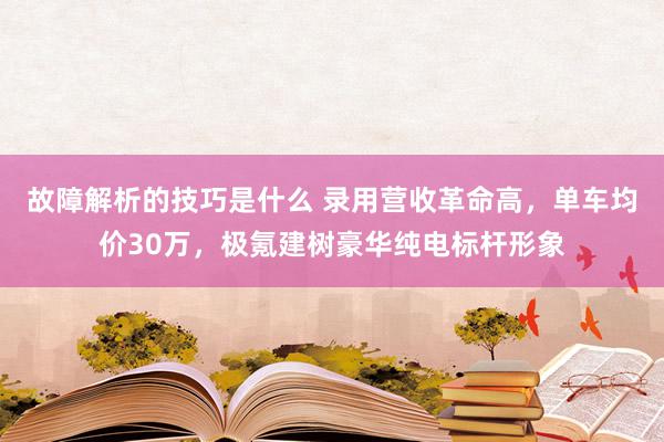 故障解析的技巧是什么 录用营收革命高，单车均价30万，极氪建树豪华纯电标杆形象