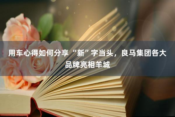 用车心得如何分享 “新”字当头，良马集团各大品牌亮相羊城