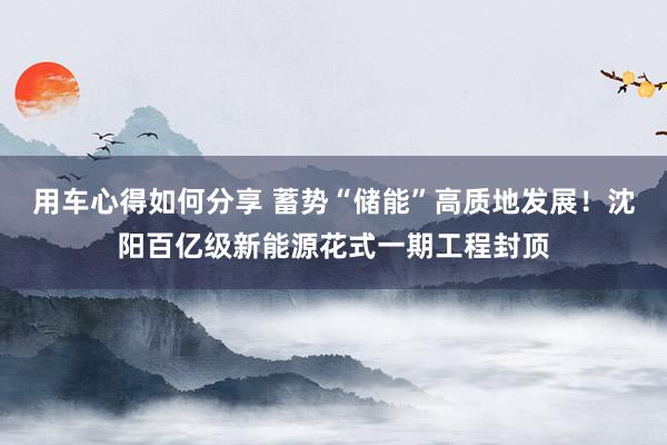 用车心得如何分享 蓄势“储能”高质地发展！沈阳百亿级新能源花式一期工程封顶