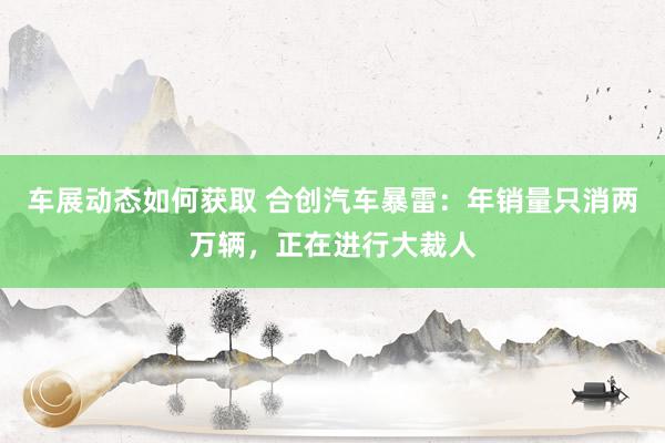 车展动态如何获取 合创汽车暴雷：年销量只消两万辆，正在进行大裁人