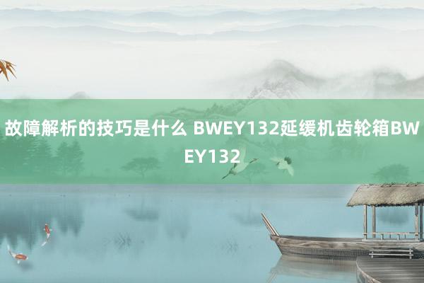 故障解析的技巧是什么 BWEY132延缓机齿轮箱BWEY132