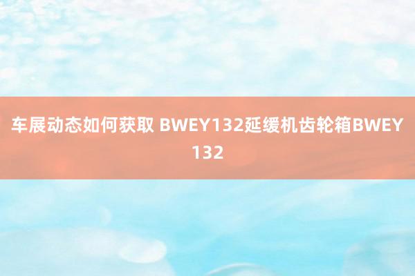 车展动态如何获取 BWEY132延缓机齿轮箱BWEY132