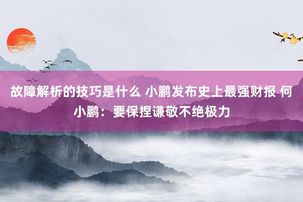 故障解析的技巧是什么 小鹏发布史上最强财报 何小鹏：要保捏谦敬不绝极力