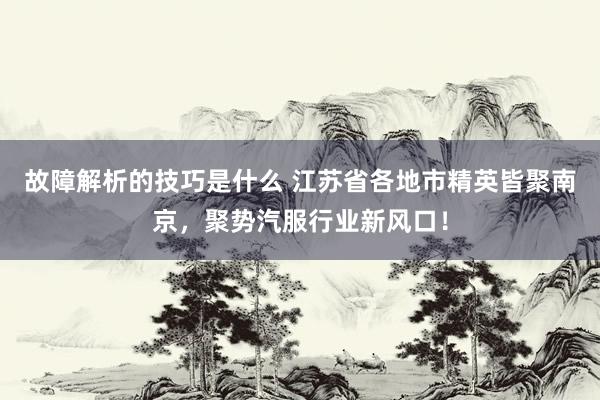 故障解析的技巧是什么 江苏省各地市精英皆聚南京，聚势汽服行业新风口！