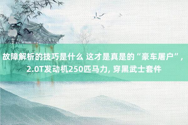 故障解析的技巧是什么 这才是真是的“豪车屠户”, 2.0T发动机250匹马力, 穿黑武士套件