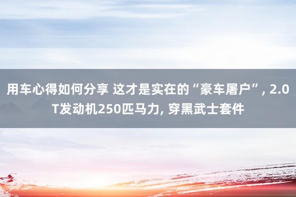 用车心得如何分享 这才是实在的“豪车屠户”, 2.0T发动机250匹马力, 穿黑武士套件