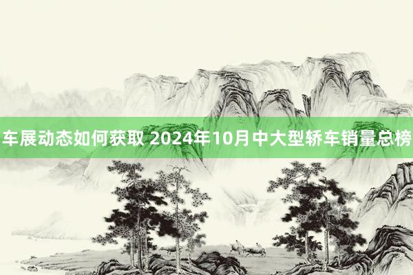 车展动态如何获取 2024年10月中大型轿车销量总榜