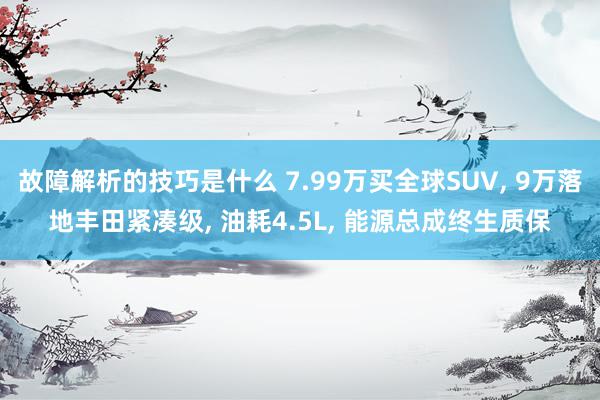 故障解析的技巧是什么 7.99万买全球SUV, 9万落地丰田紧凑级, 油耗4.5L, 能源总成终生质保