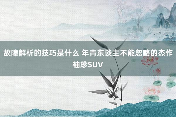 故障解析的技巧是什么 年青东谈主不能忽略的杰作袖珍SUV