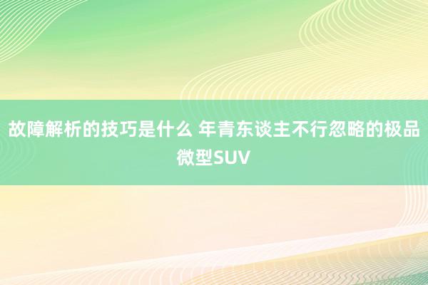 故障解析的技巧是什么 年青东谈主不行忽略的极品微型SUV