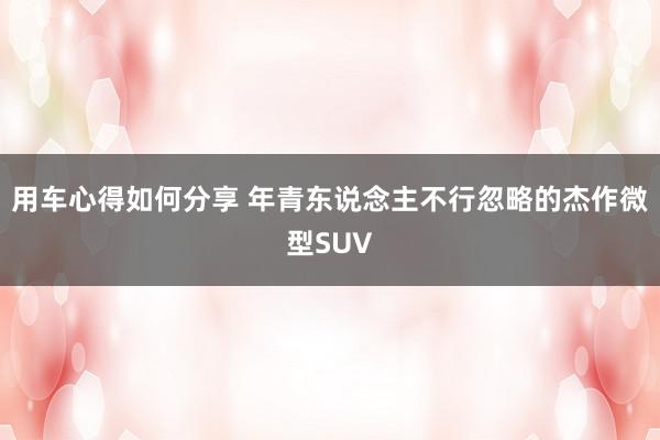 用车心得如何分享 年青东说念主不行忽略的杰作微型SUV