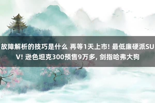 故障解析的技巧是什么 再等1天上市! 最低廉硬派SUV! 逊色坦克300预售9万多, 剑指哈弗大狗