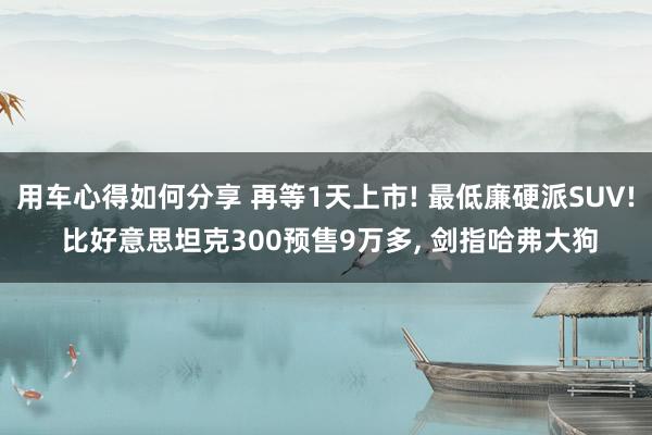 用车心得如何分享 再等1天上市! 最低廉硬派SUV! 比好意思坦克300预售9万多, 剑指哈弗大狗