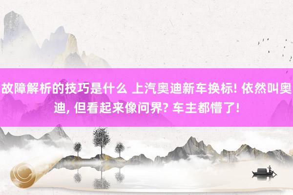 故障解析的技巧是什么 上汽奥迪新车换标! 依然叫奥迪, 但看起来像问界? 车主都懵了!