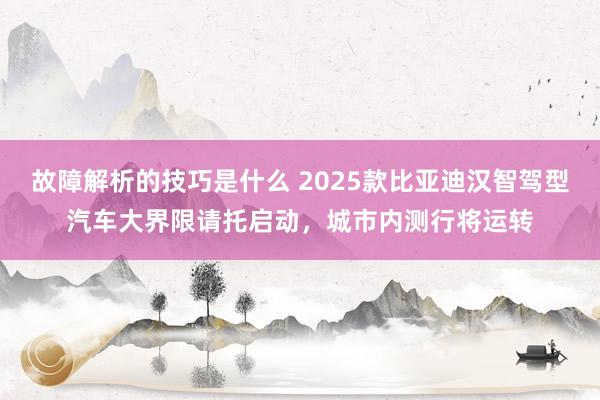 故障解析的技巧是什么 2025款比亚迪汉智驾型汽车大界限请托启动，城市内测行将运转