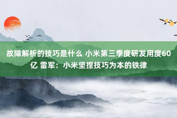 故障解析的技巧是什么 小米第三季度研发用度60亿 雷军：小米坚捏技巧为本的铁律