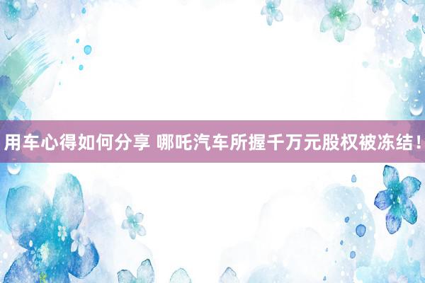 用车心得如何分享 哪吒汽车所握千万元股权被冻结！