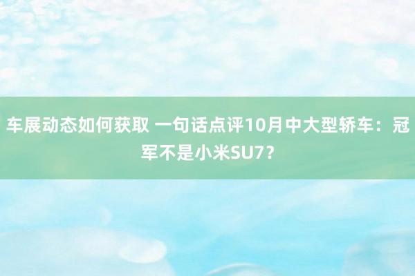 车展动态如何获取 一句话点评10月中大型轿车：冠军不是小米SU7？