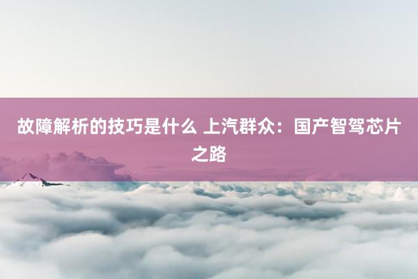 故障解析的技巧是什么 上汽群众：国产智驾芯片之路