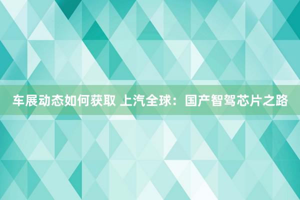 车展动态如何获取 上汽全球：国产智驾芯片之路