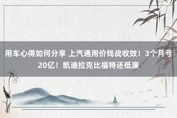 用车心得如何分享 上汽通用价钱战收效！3个月亏20亿！凯迪拉克比福特还低廉