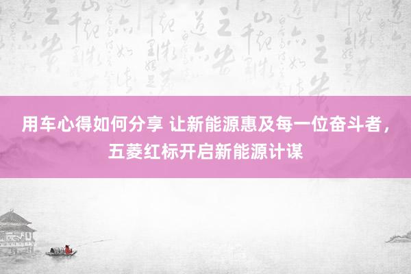 用车心得如何分享 让新能源惠及每一位奋斗者，五菱红标开启新能源计谋