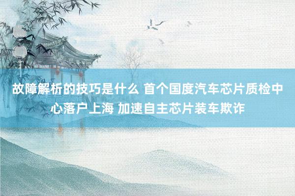 故障解析的技巧是什么 首个国度汽车芯片质检中心落户上海 加速自主芯片装车欺诈