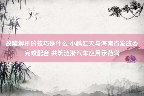 故障解析的技巧是什么 小鹏汇天与海南省发改委完竣配合 共筑涟漪汽车应用示范岛