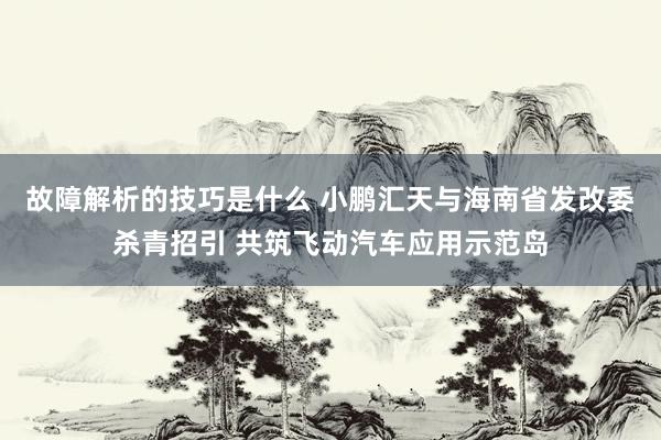 故障解析的技巧是什么 小鹏汇天与海南省发改委杀青招引 共筑飞动汽车应用示范岛