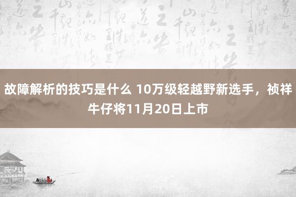 故障解析的技巧是什么 10万级轻越野新选手，祯祥牛仔将11月20日上市