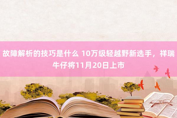 故障解析的技巧是什么 10万级轻越野新选手，祥瑞牛仔将11月20日上市