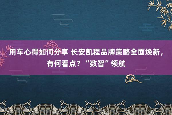 用车心得如何分享 长安凯程品牌策略全面焕新，有何看点？“数智”领航