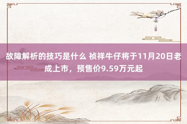 故障解析的技巧是什么 祯祥牛仔将于11月20日老成上市，预售价9.59万元起