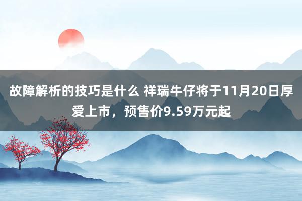 故障解析的技巧是什么 祥瑞牛仔将于11月20日厚爱上市，预售价9.59万元起